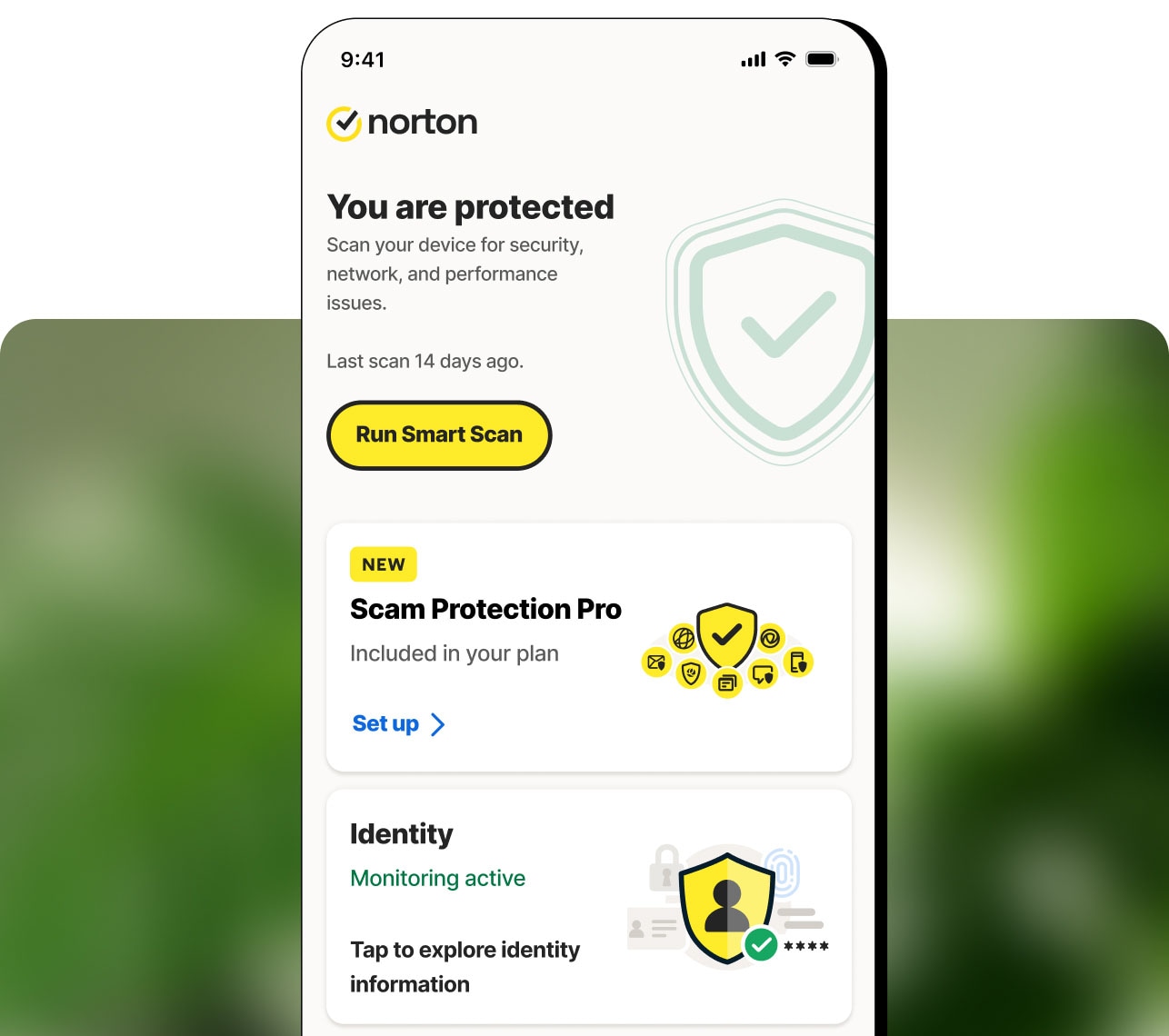 Norton 360-abonnementen
